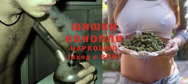 Альфа ПВП Горняк