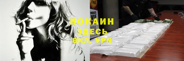 Альфа ПВП Горняк