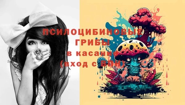 гашик Горнозаводск