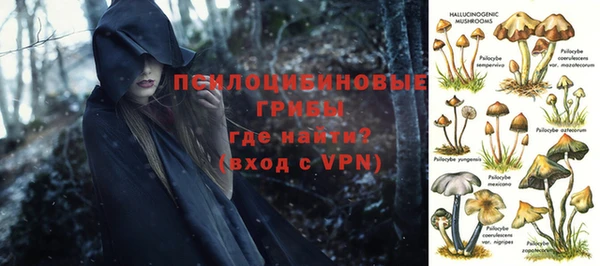 Альфа ПВП Горняк