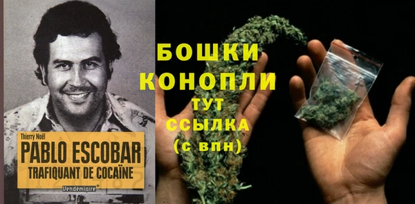 гашик Горнозаводск
