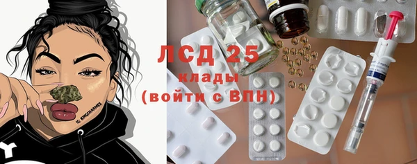 Альфа ПВП Горняк