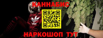 молекула духа Будённовск