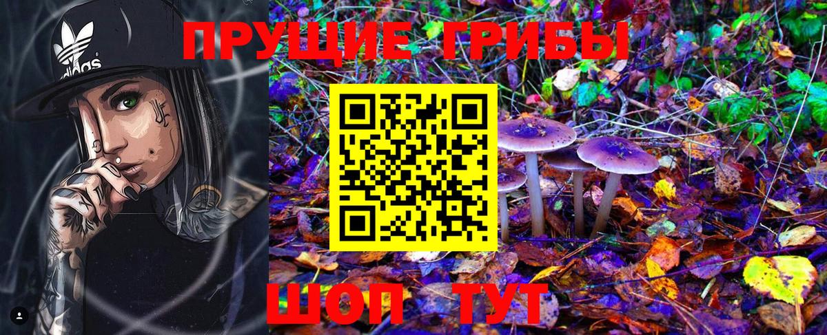 Ейск  Галлюциногенные грибы Cubensis  где можно купить   Вход с VPN 