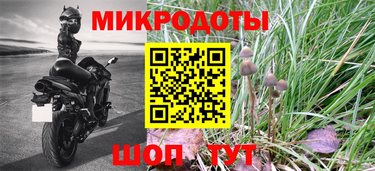 Галлюциногенные грибы GOLDEN TEACHER  Ейск 