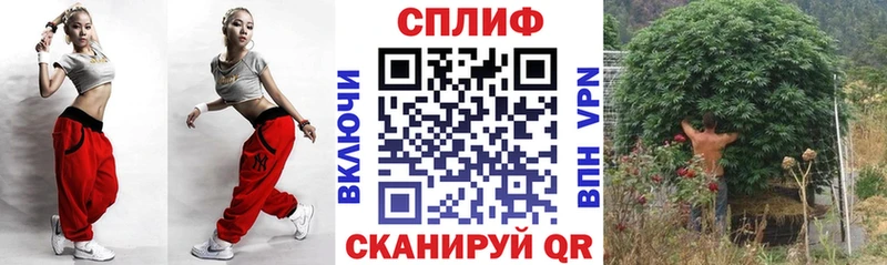 где найти наркотики  Ейск  Бошки марихуана индика 
