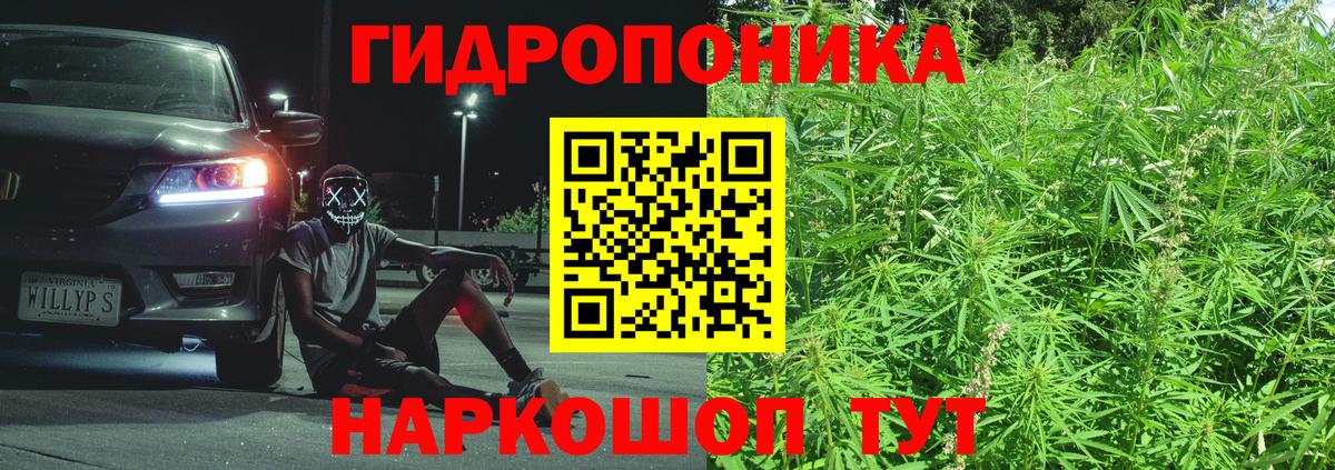 Бошки Шишки VHQ  Канабис Bruce Banner  Ейск  Конопля сатива 